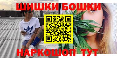 дмт Можга
