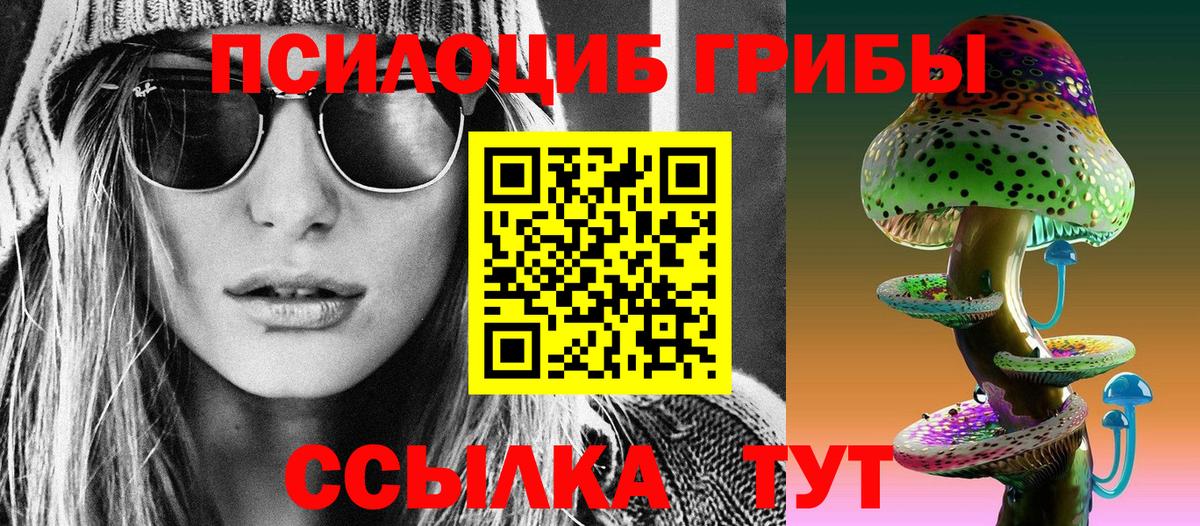 Торжок  наркотики  Вход с VPN  Псилоцибиновые грибы ЛСД 